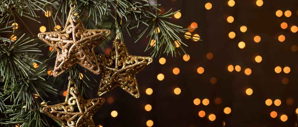 Outdoor Christmas Lighting Ideas