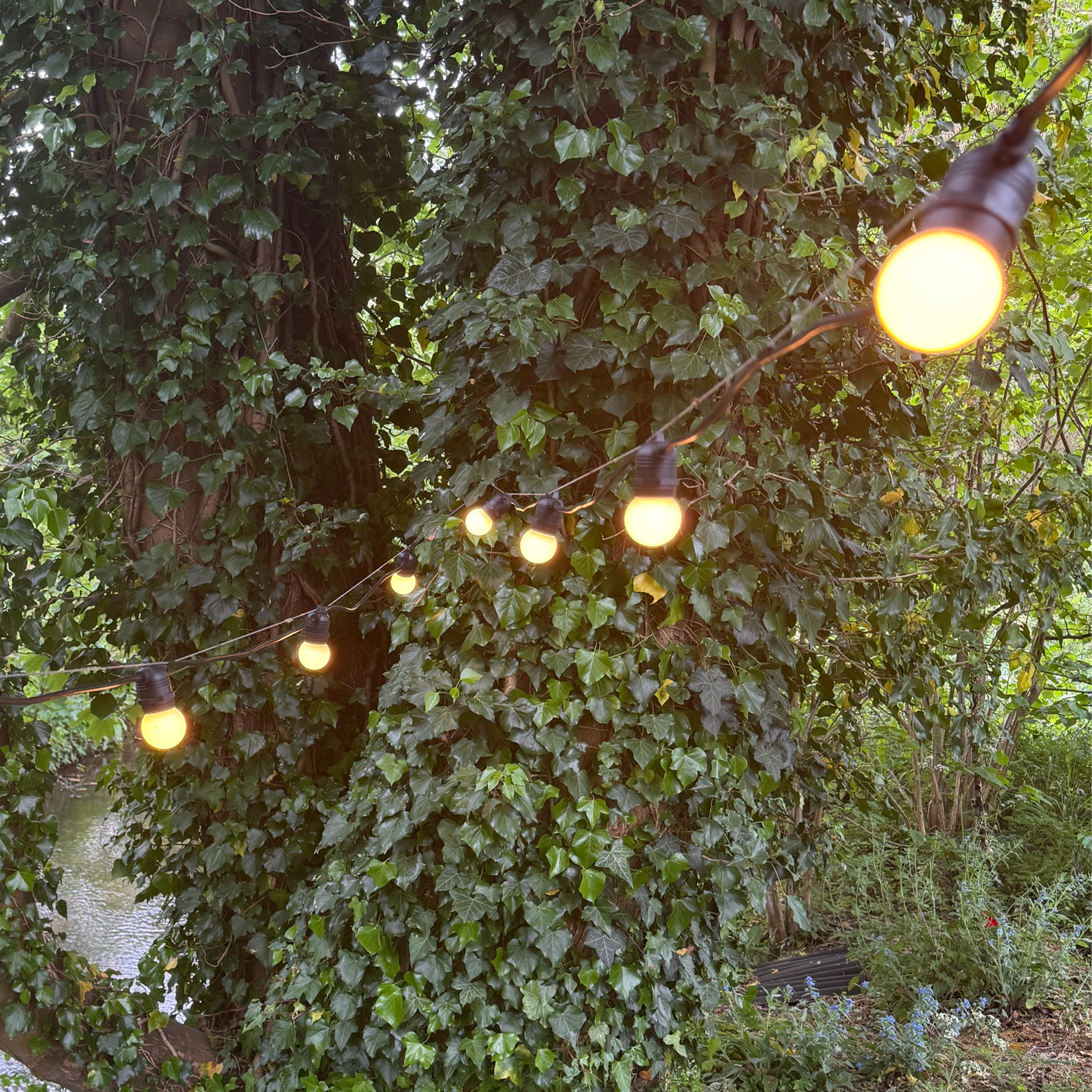 Azur Festoon cable with Frosted G45 bulbs - The Outside Lighting Specialists