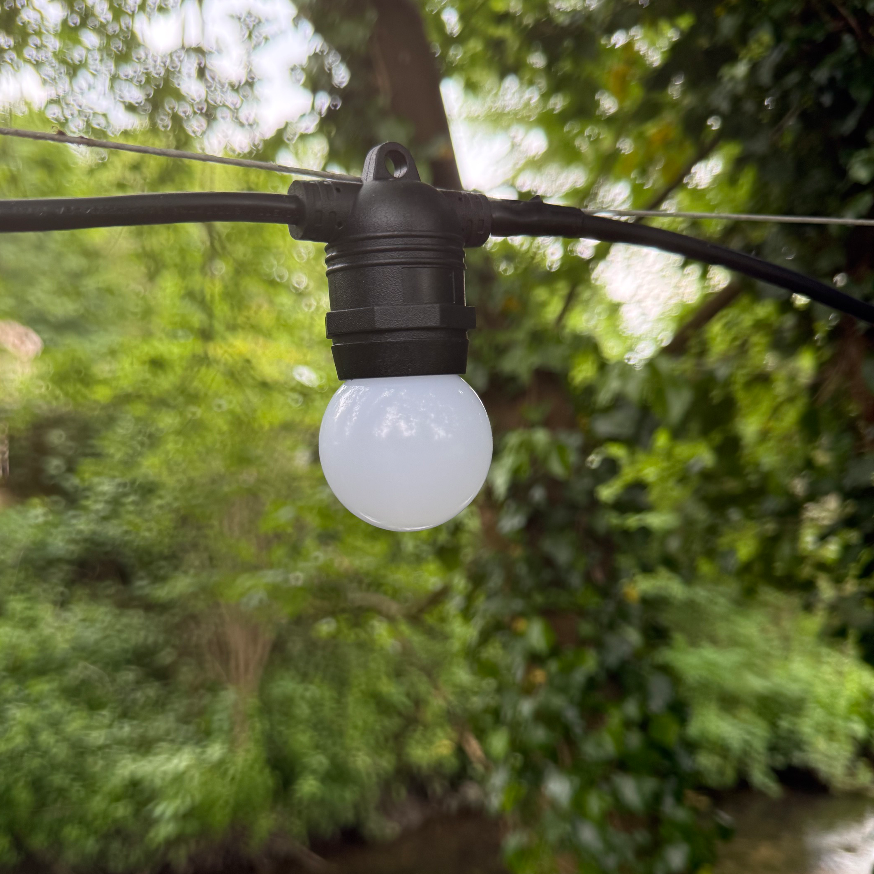 Azur Festoon cable with Frosted G45 bulbs - The Outside Lighting Specialists