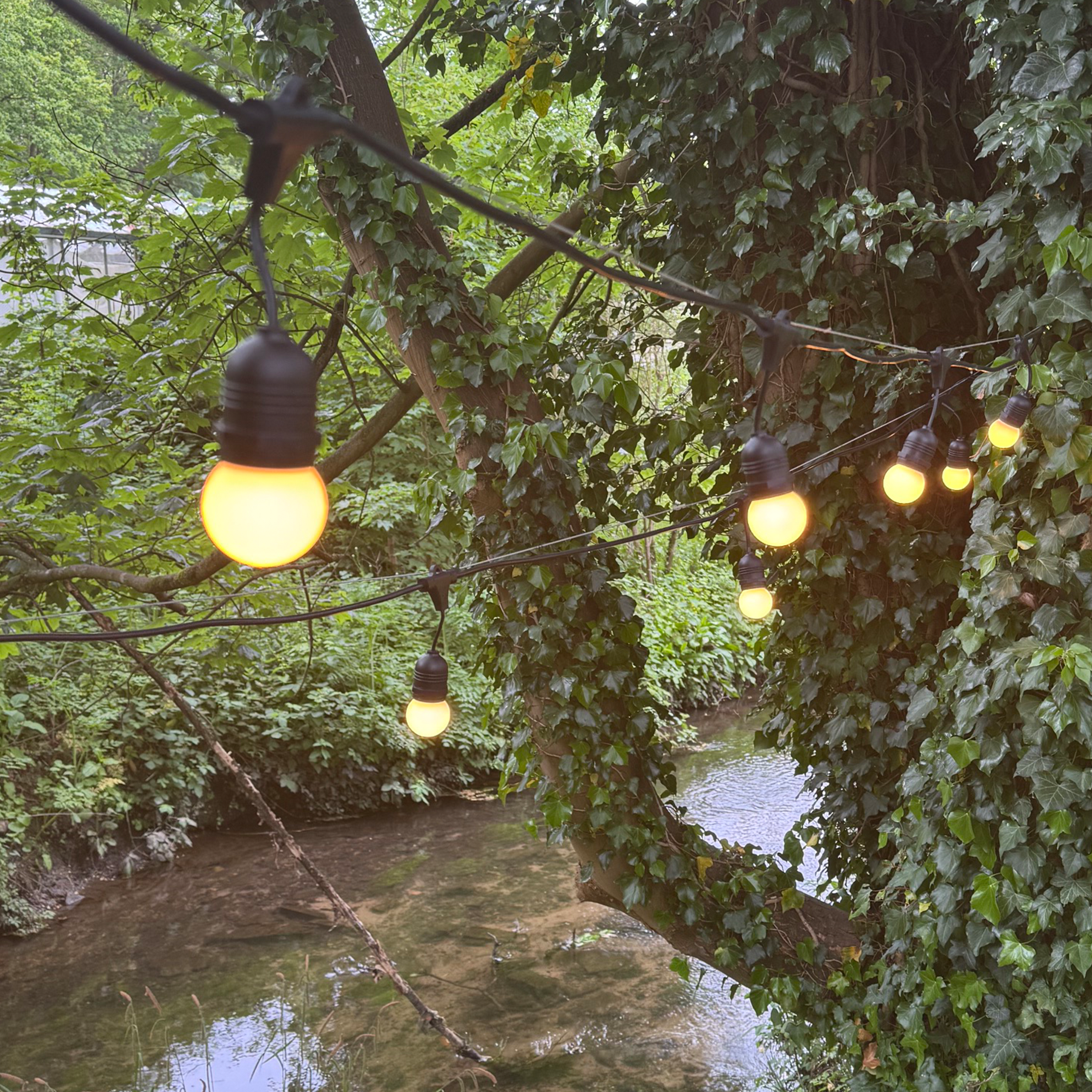 Azur Festoon cable with Frosted G45 bulbs - The Outside Lighting Specialists
