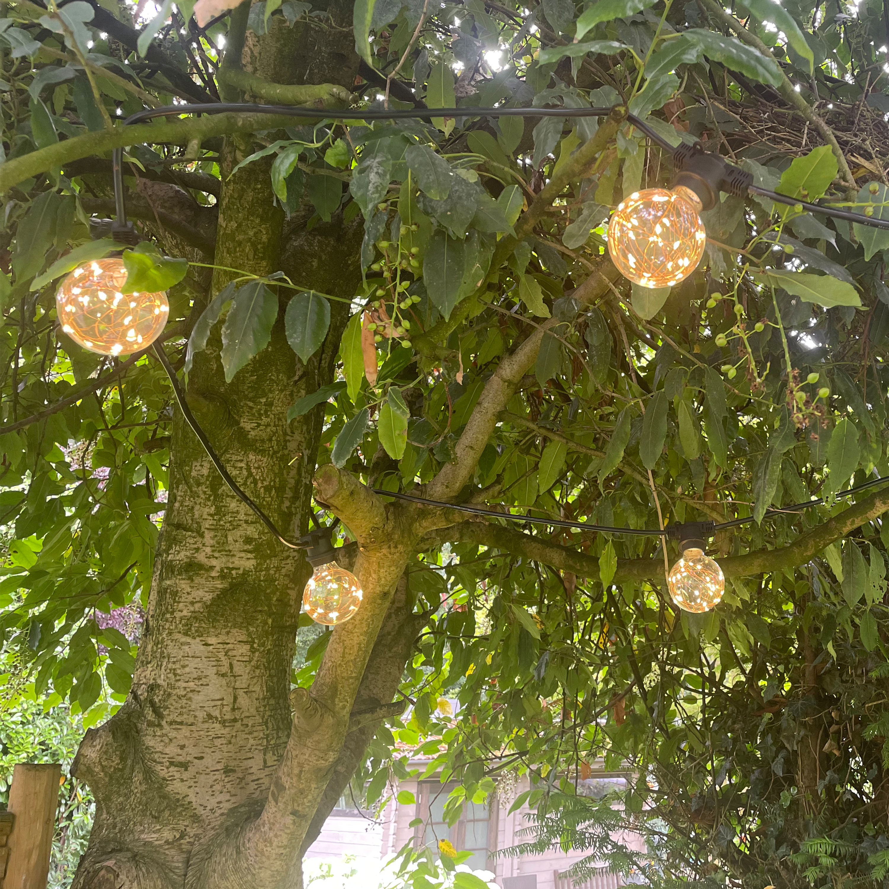 Azur Fixed Festoon Cable with G80 Retro Copper wire bulbs - The Outside Lighting Specialists
