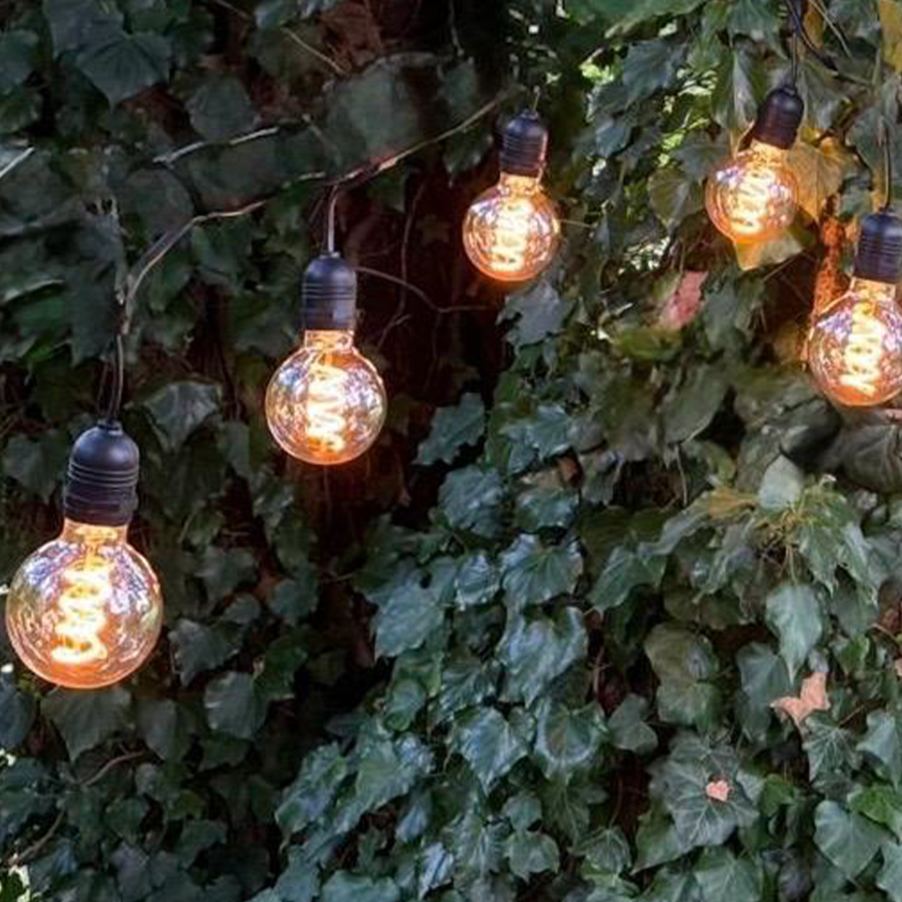 Azur Festoon with G80 Retro filament bulbs - The Outside Lighting Specialists