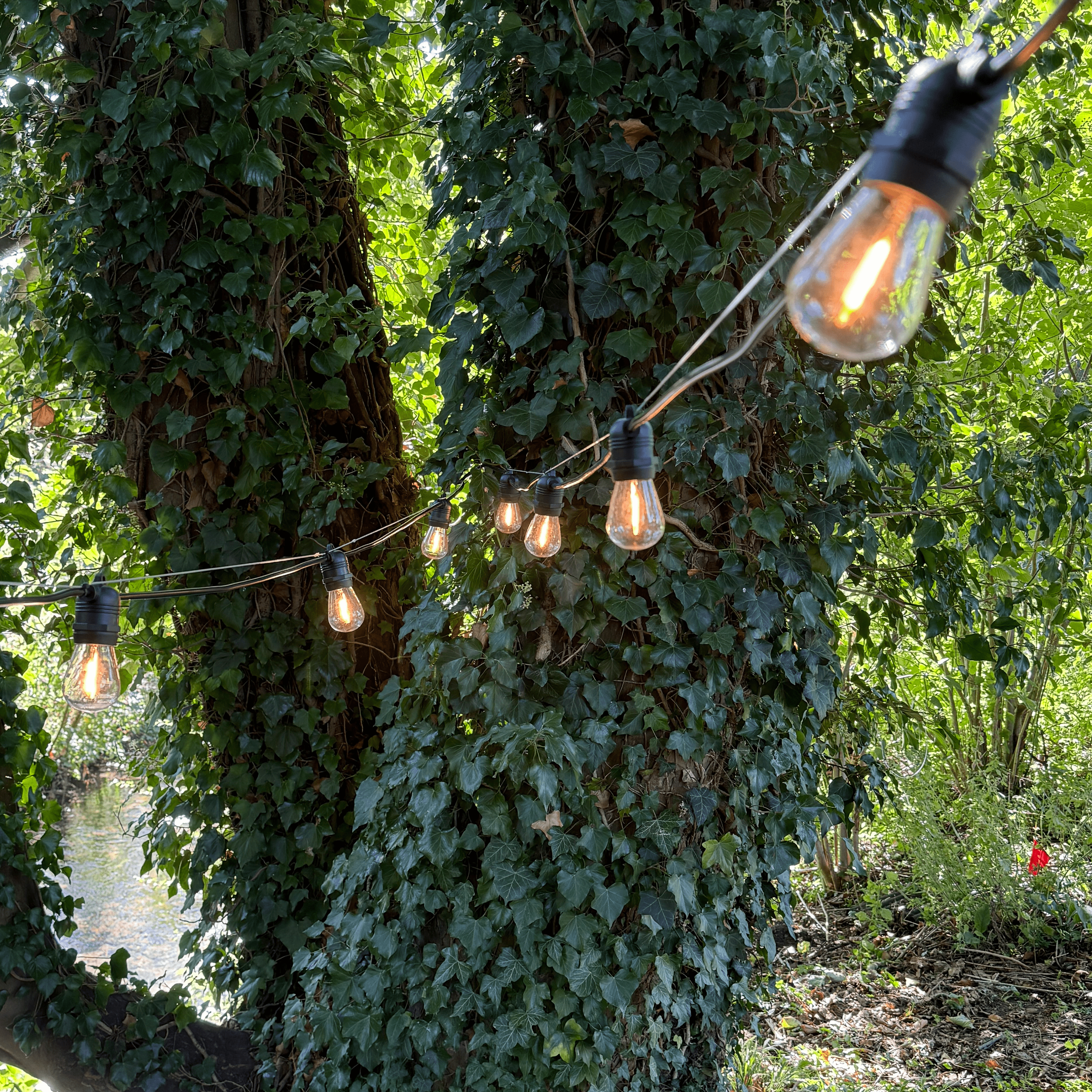 LED Filament Bulbs - Set of 10 - The Outside Lighting Specialists