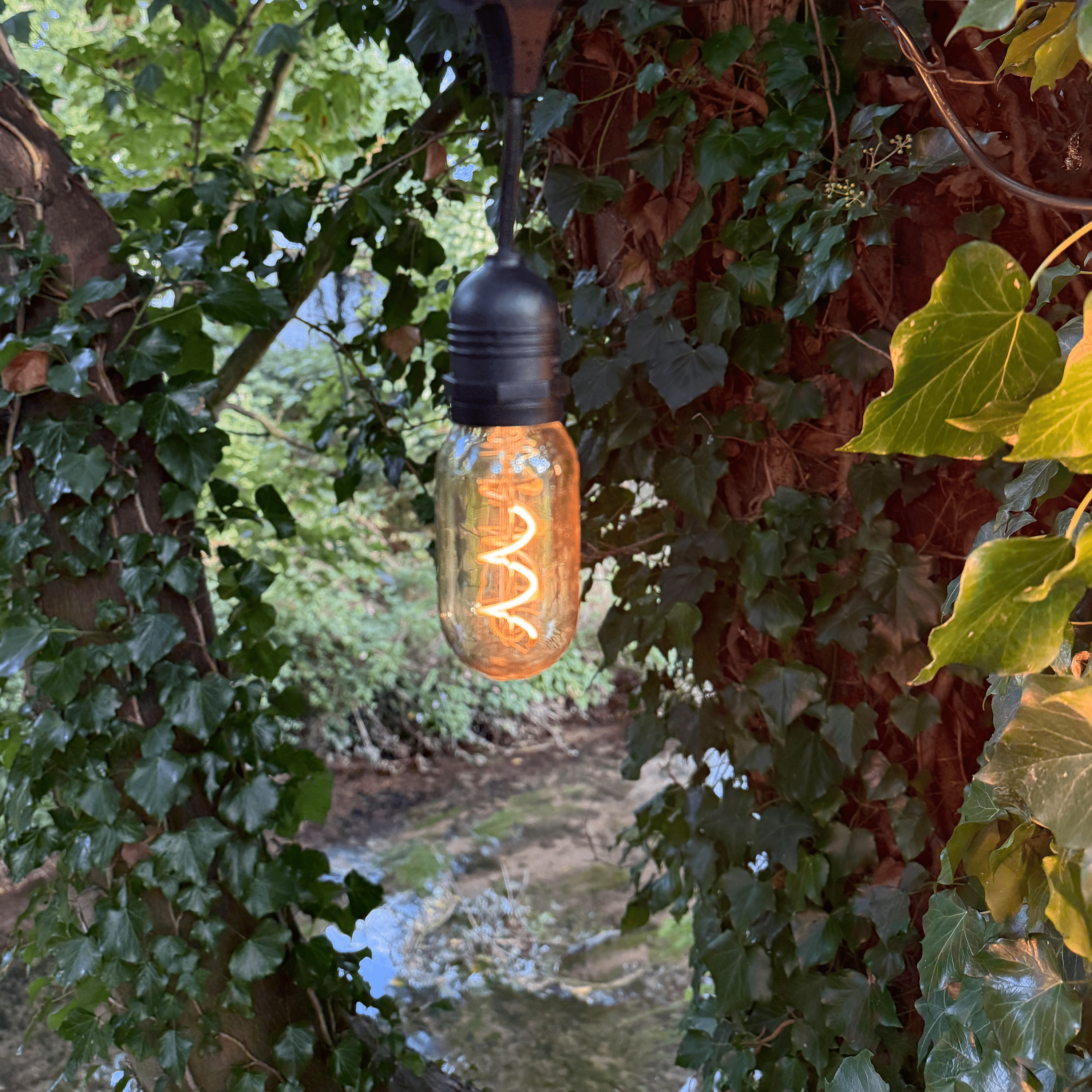 Azur Festoon cable with T45 Retro bulbs - The Outside Lighting Specialists