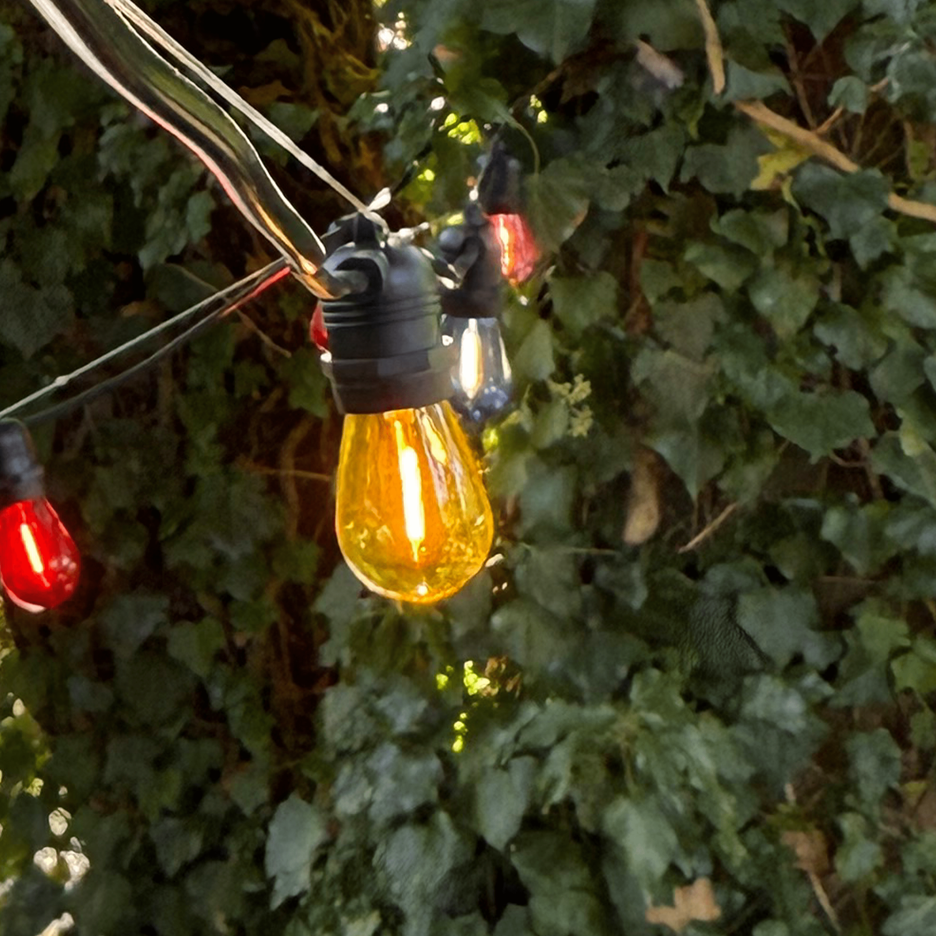 Set of 10 Coloured LED bulbs - The Outside Lighting Specialists