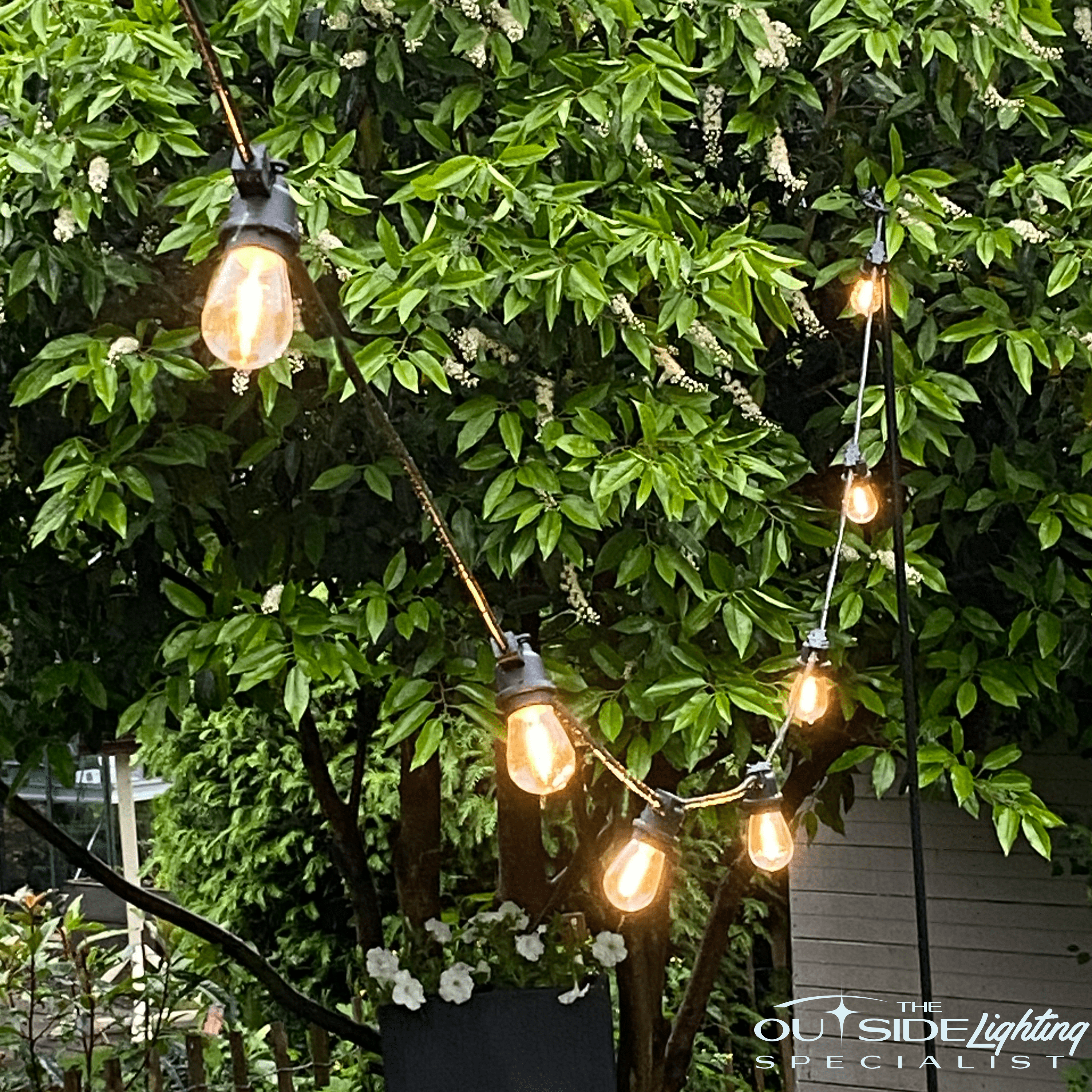 Connectable Azur Outdoor Fixed Cable with 15 LED bulbs per 10m - The Outside Lighting Specialists