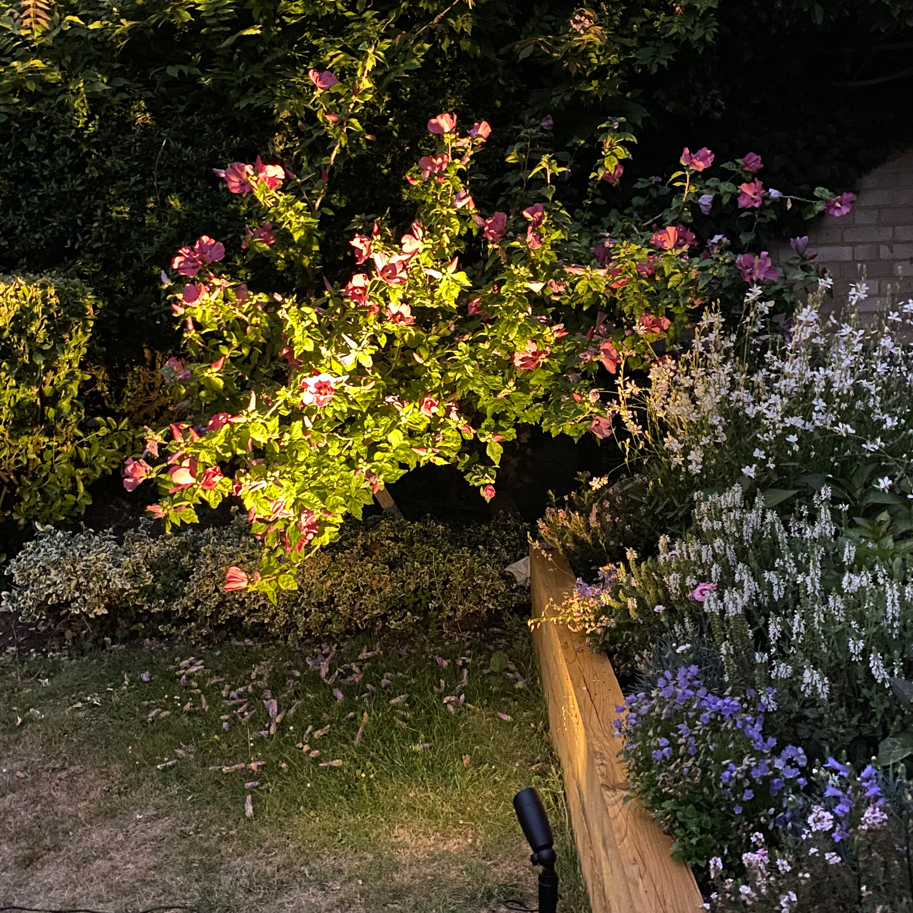 Plug and play 6w Garden Stake Light - The Outside Lighting Specialists