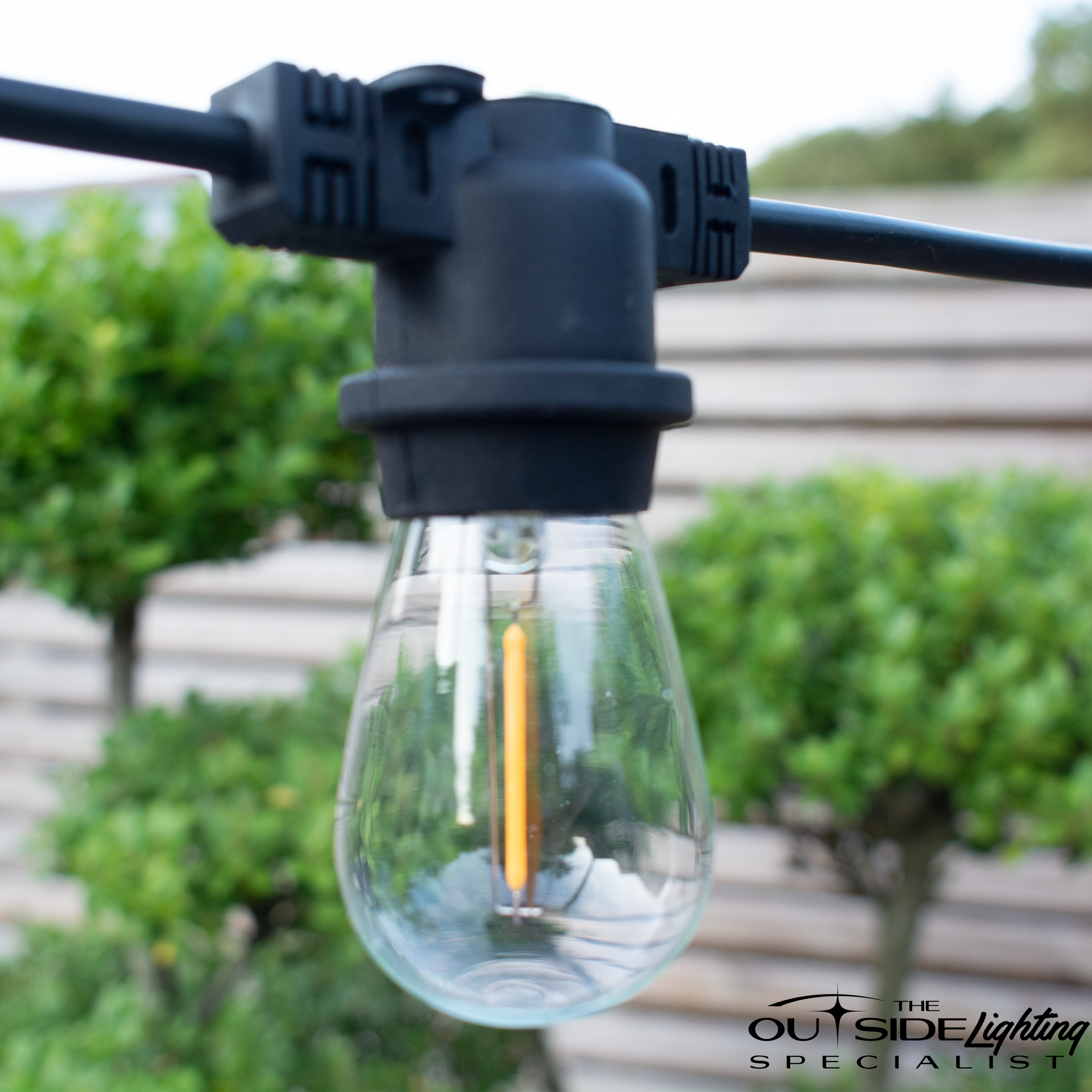 50m Connectable Outdoor String Lights - Fixed Sockets with 50 led bulbs - The Outside Lighting Specialists