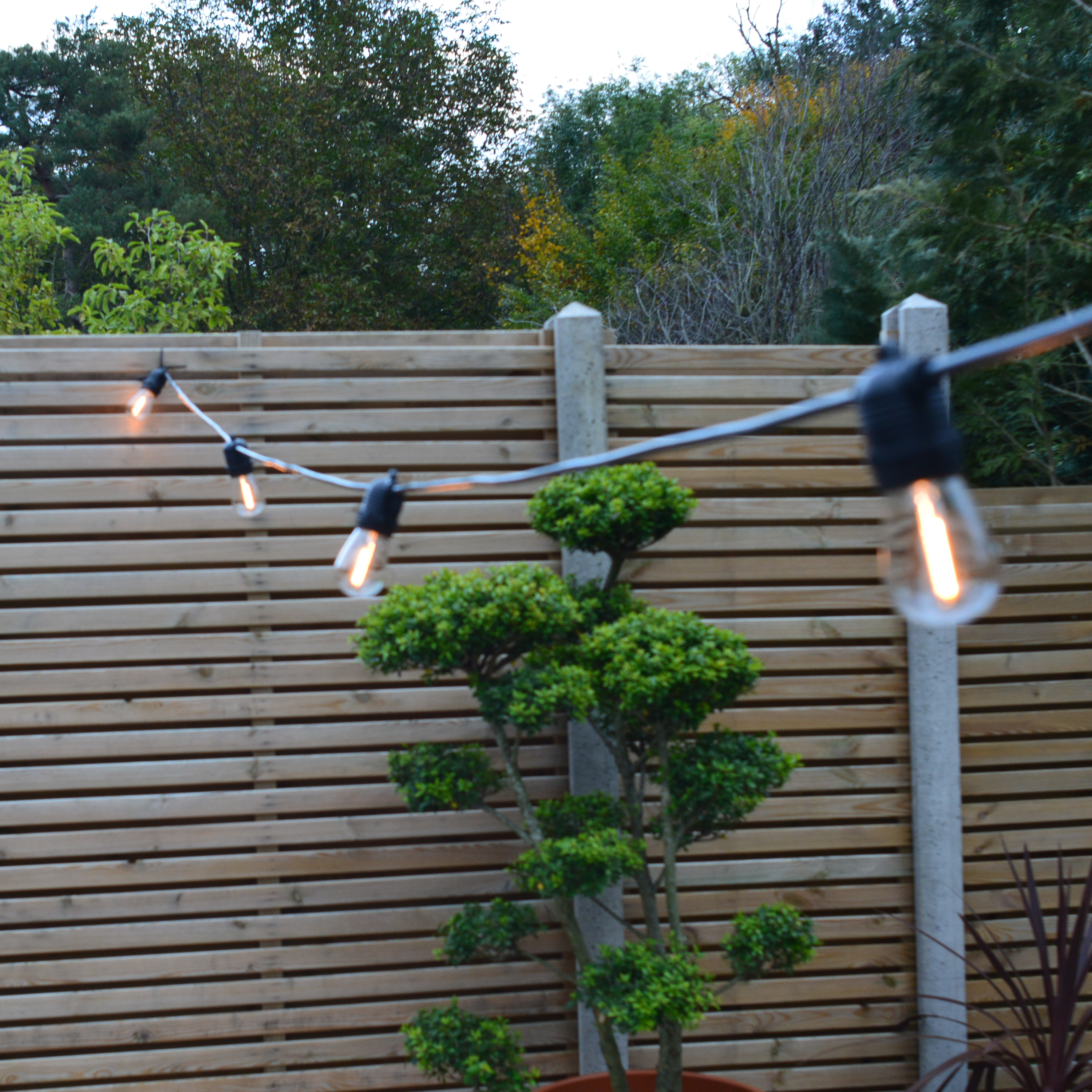 50m Connectable Outdoor String Lights - Fixed Sockets with 50 led bulbs - The Outside Lighting Specialists