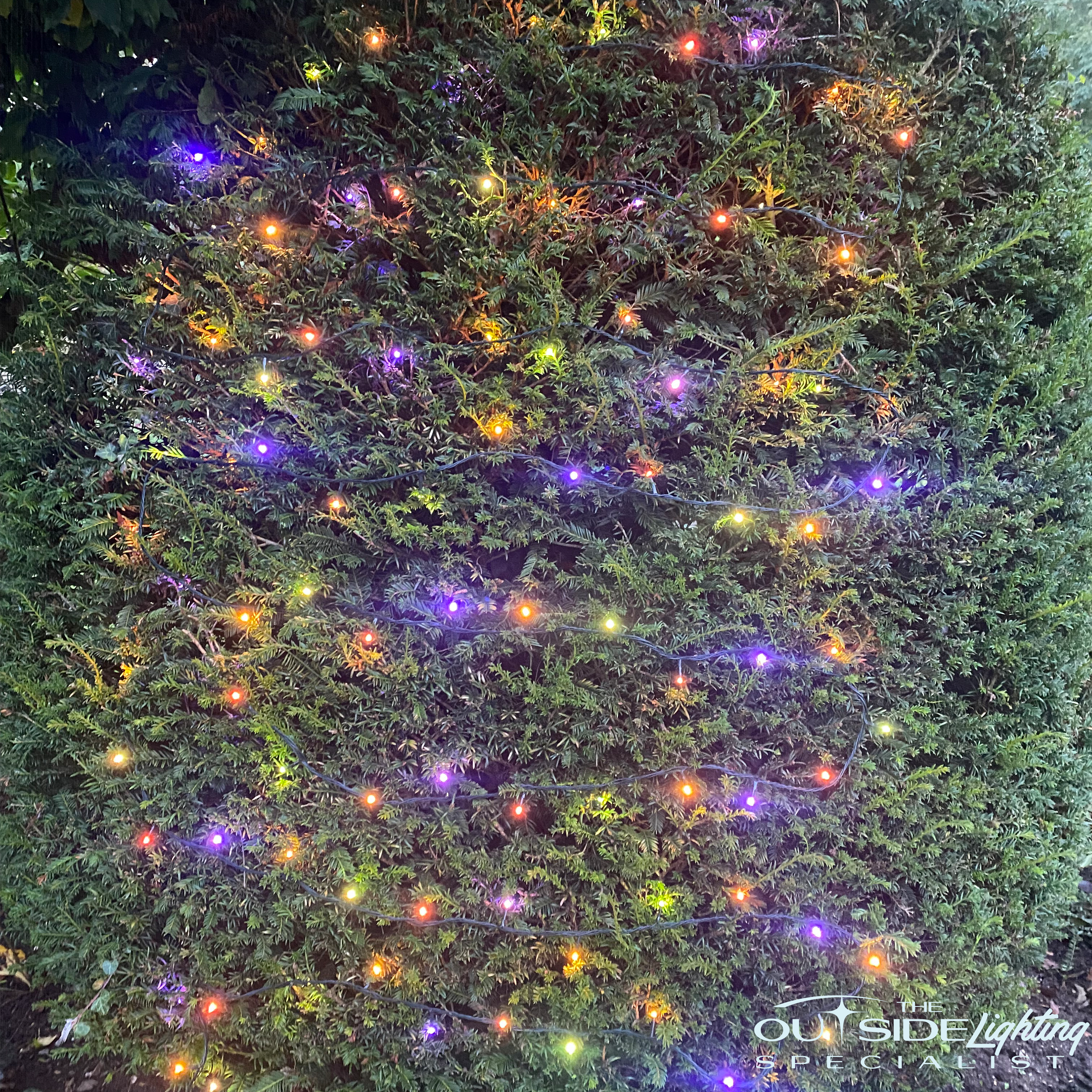 Connectable 10m Multi coloured LED Christmas string lights - The Outside Lighting Specialists