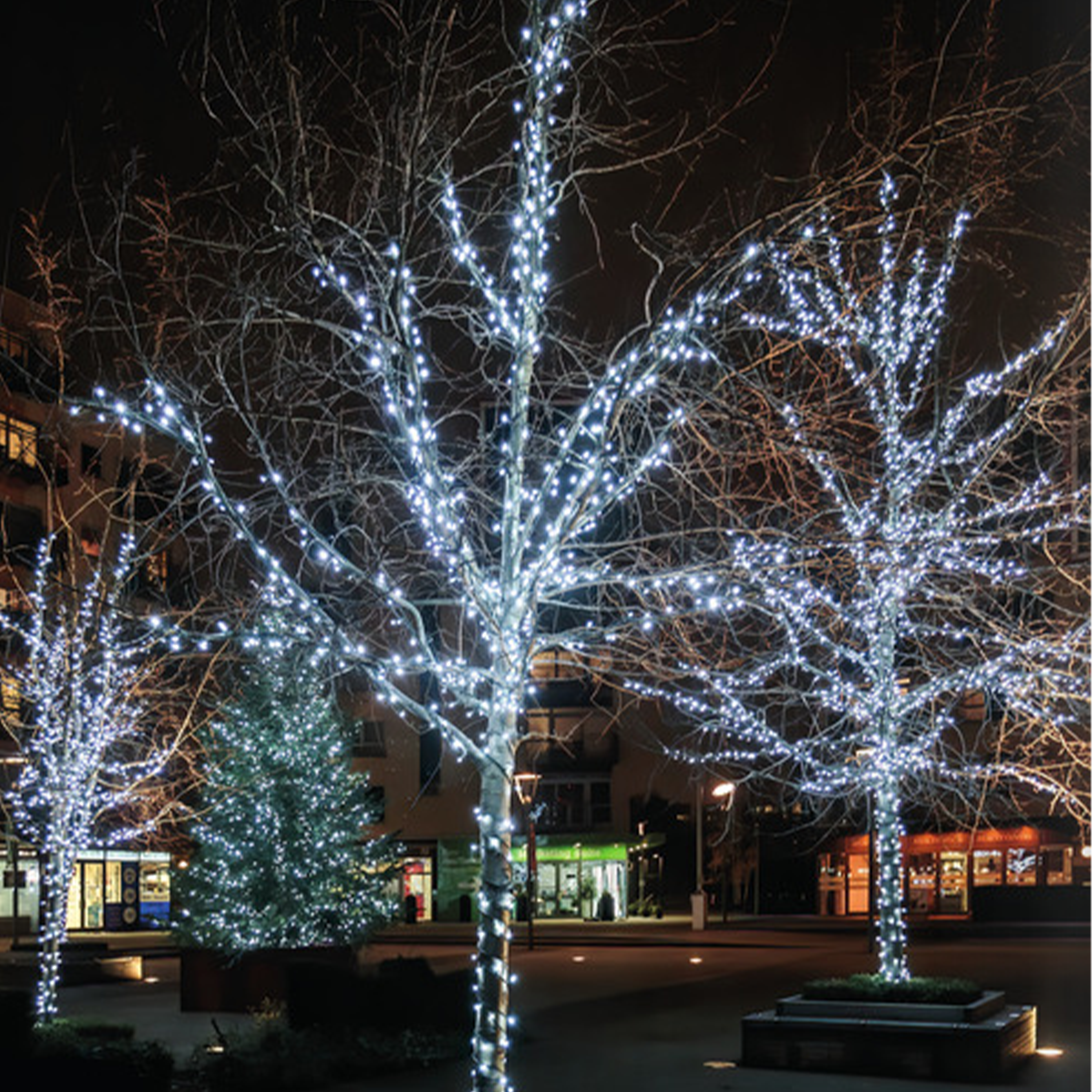 Connectable 10m Dual colour LED Christmas string lights - The Outside Lighting Specialists