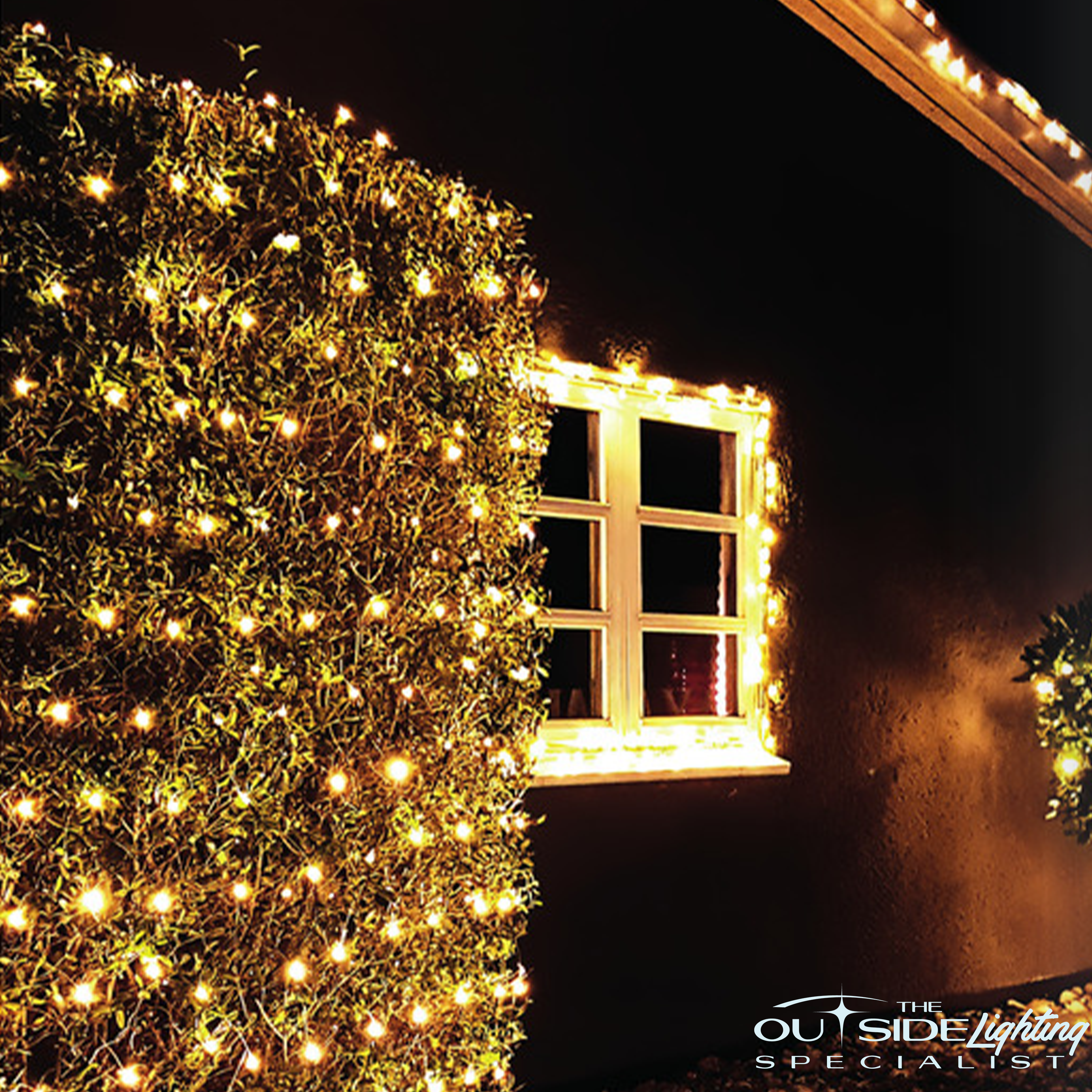 Connectable Festive Net lights - The Outside Lighting Specialists