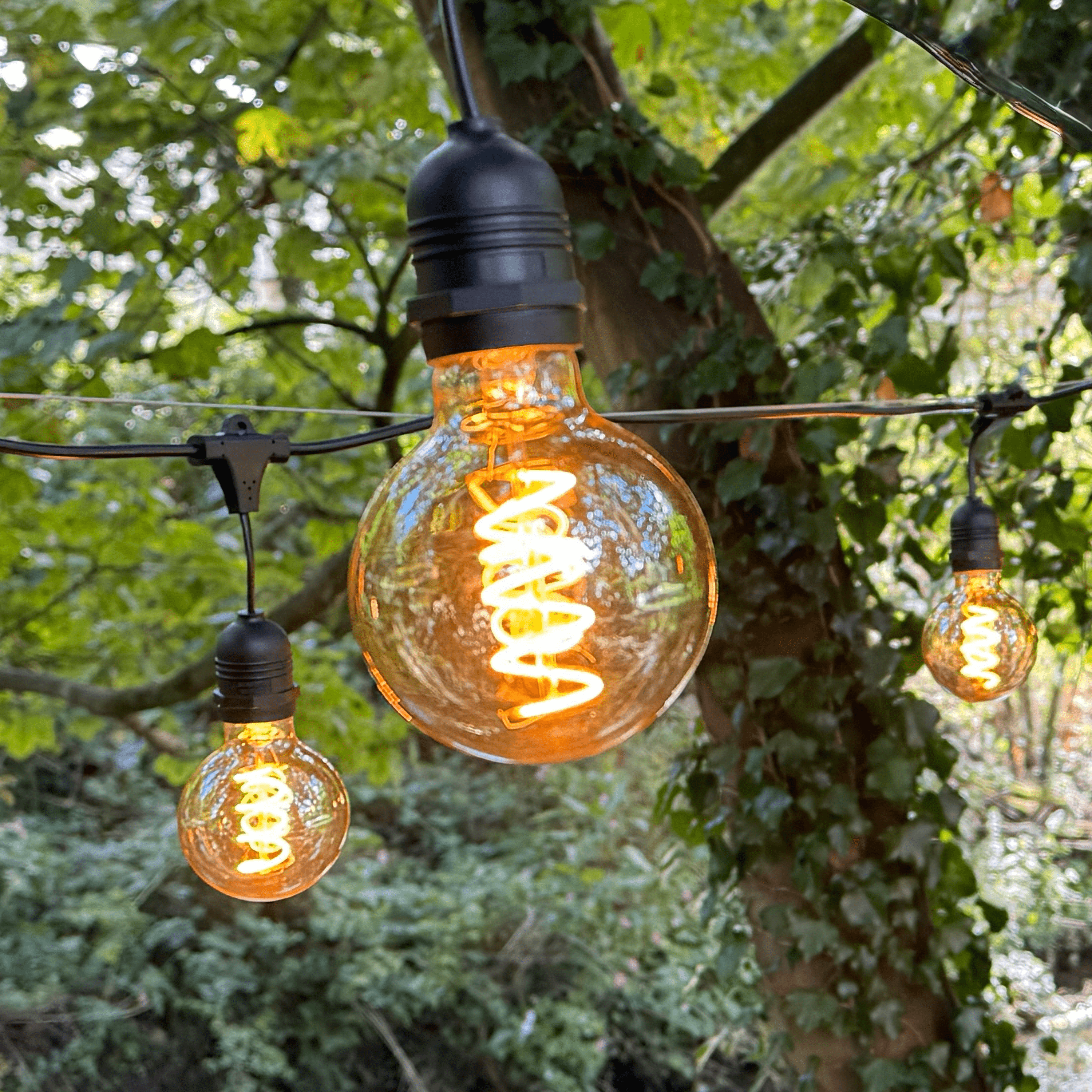 Azur Festoon with G80 Retro filament bulbs - The Outside Lighting Specialists