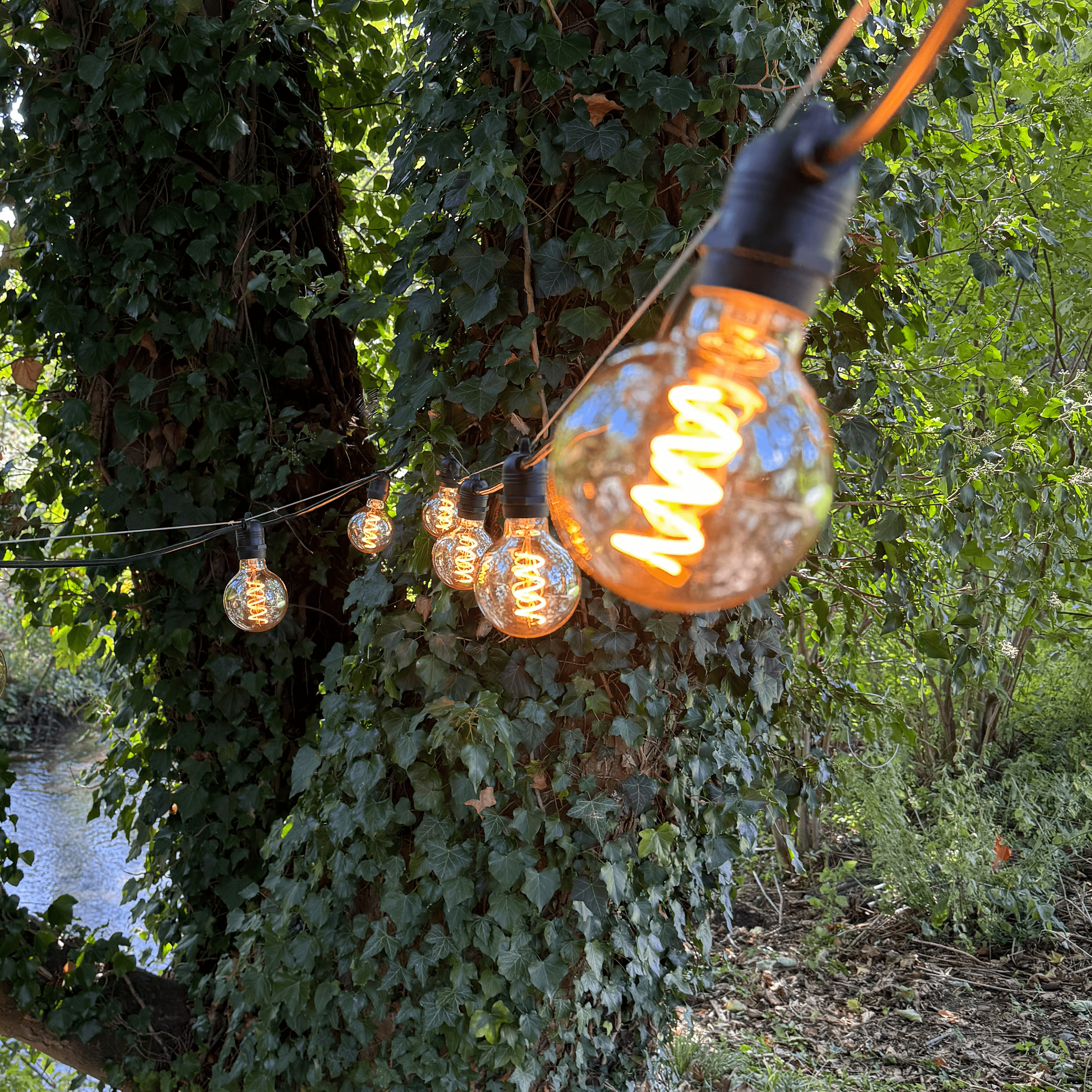 Azur Festoon with G80 Retro filament bulbs - The Outside Lighting Specialists