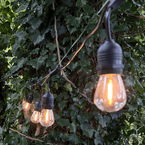 LED Filament Bulbs - Set of 10