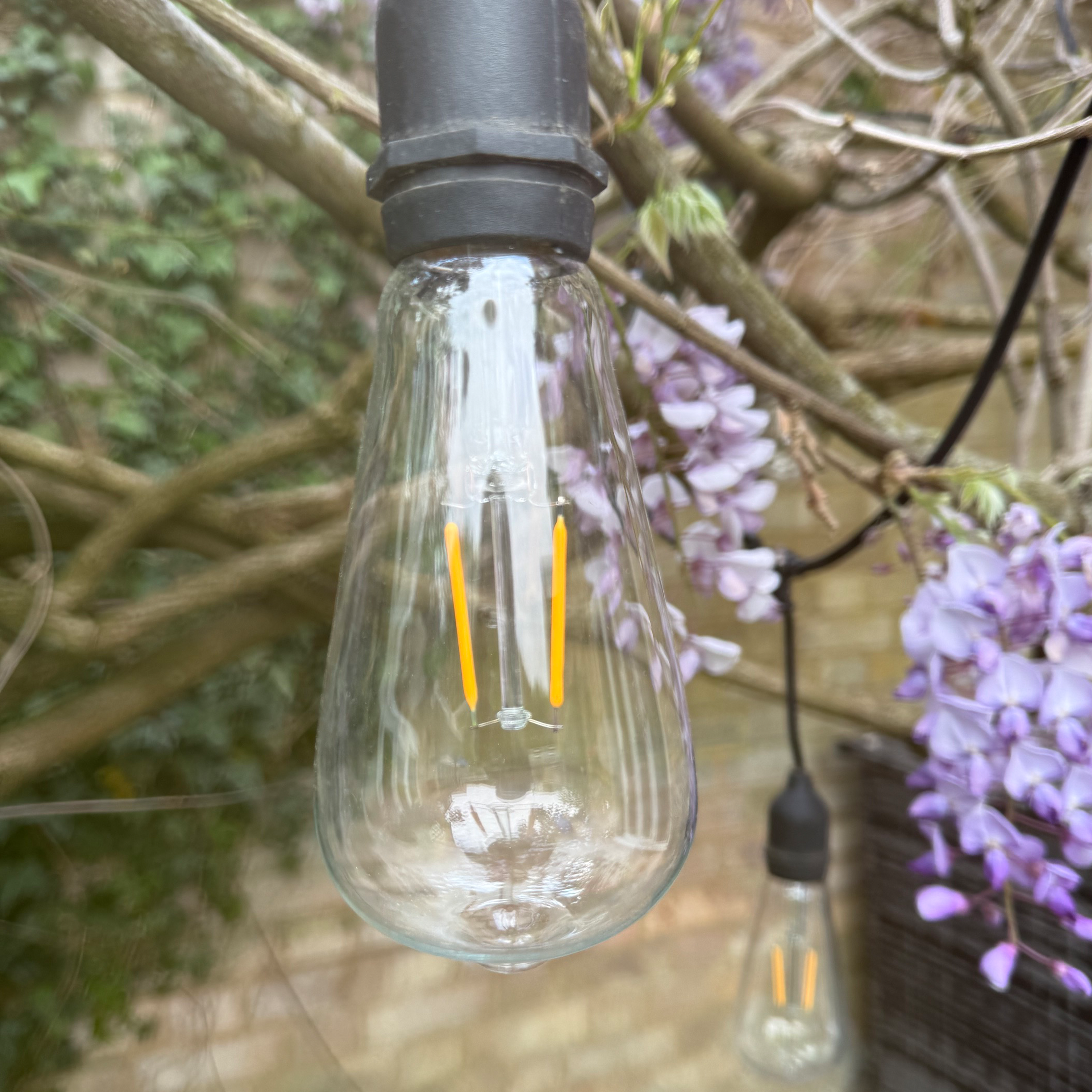 Azur Festoon cable with ST64 bulbs - The Outside Lighting Specialists