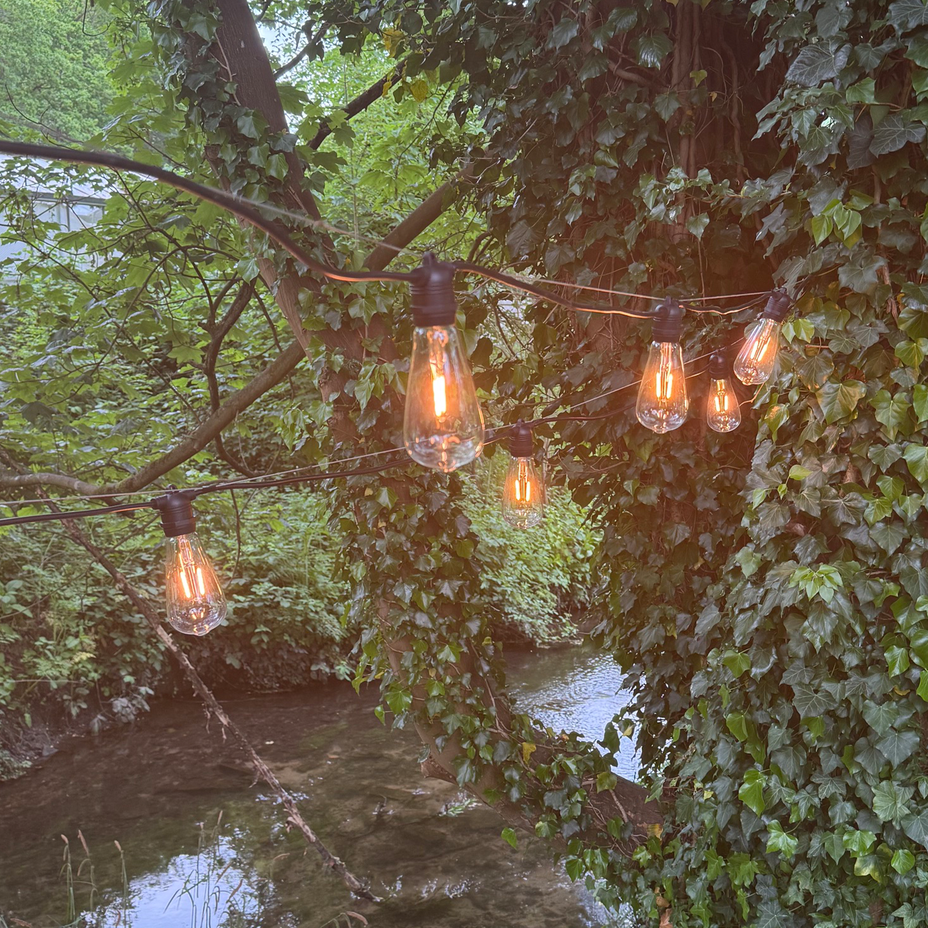 Azur Festoon cable with ST64 bulbs - The Outside Lighting Specialists