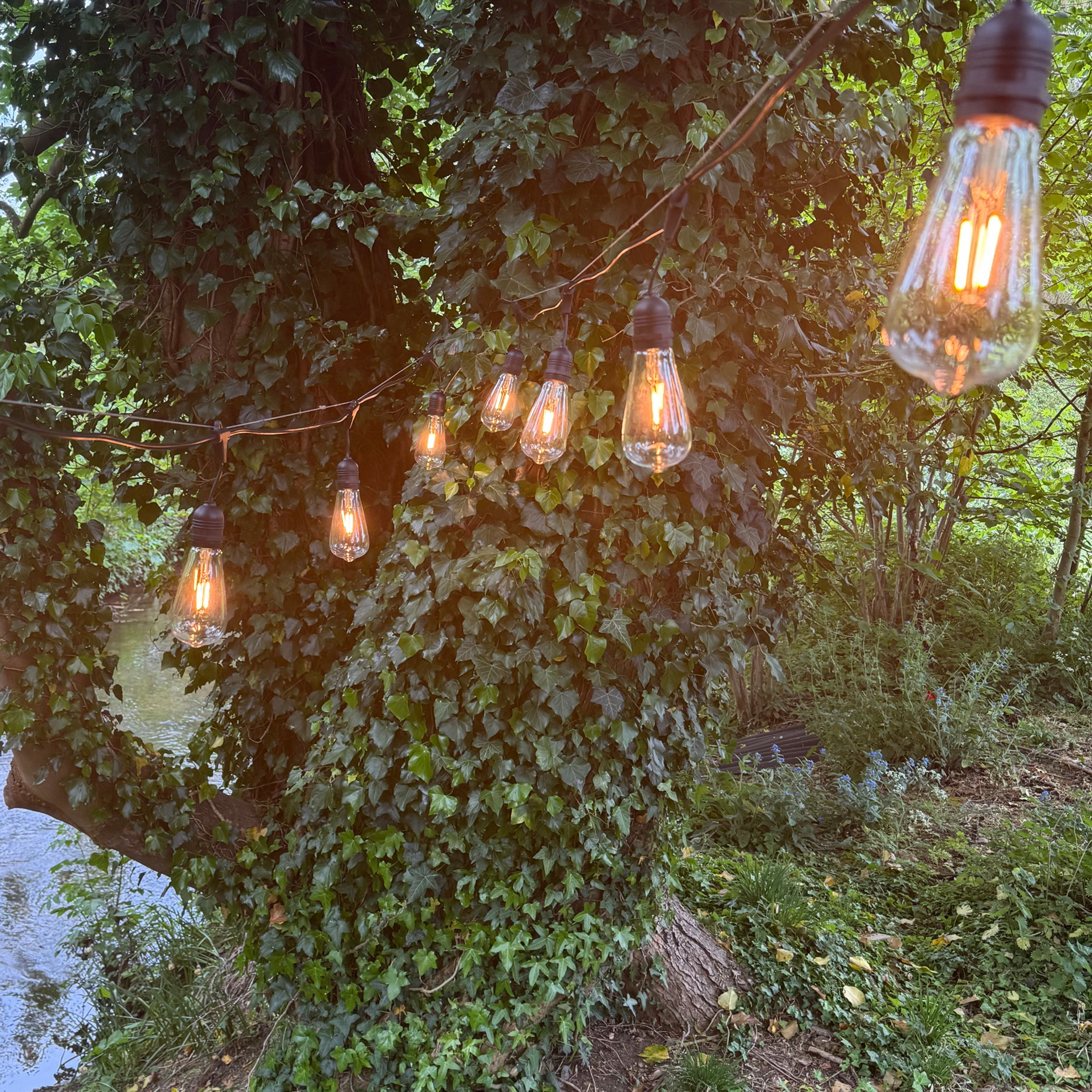 Azur Festoon cable with ST64 bulbs - The Outside Lighting Specialists