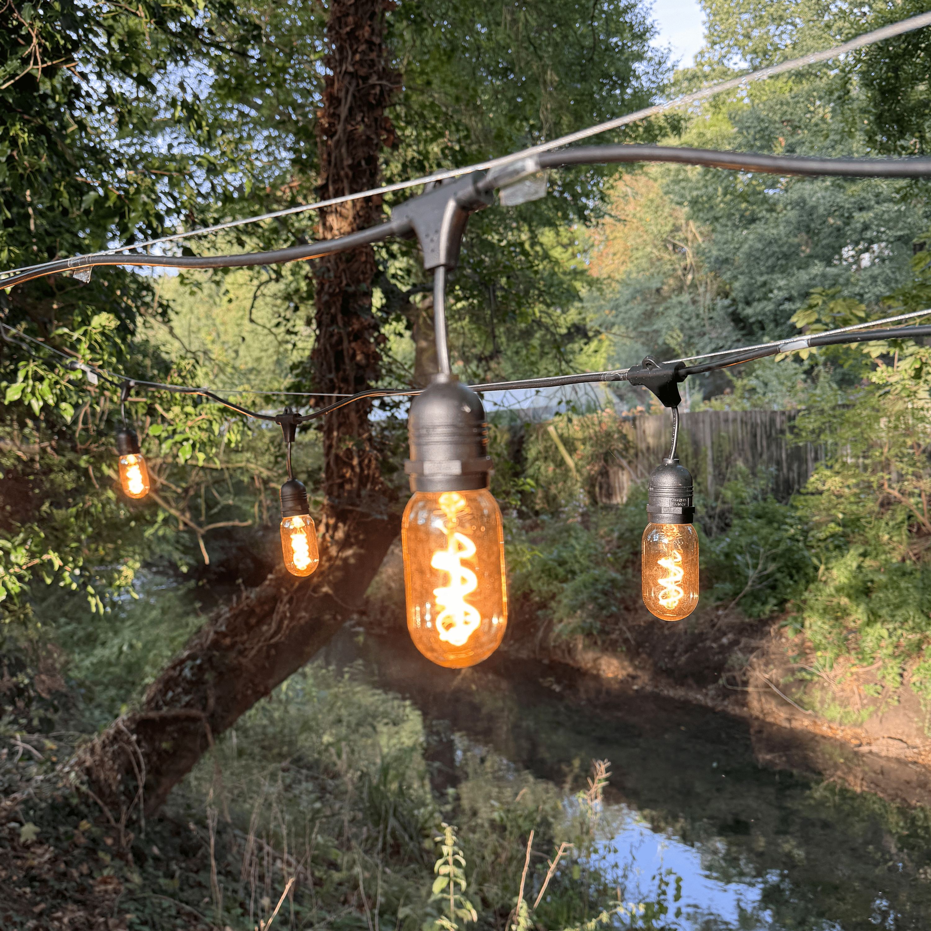 Azur Festoon cable with T45 Retro bulbs - The Outside Lighting Specialists