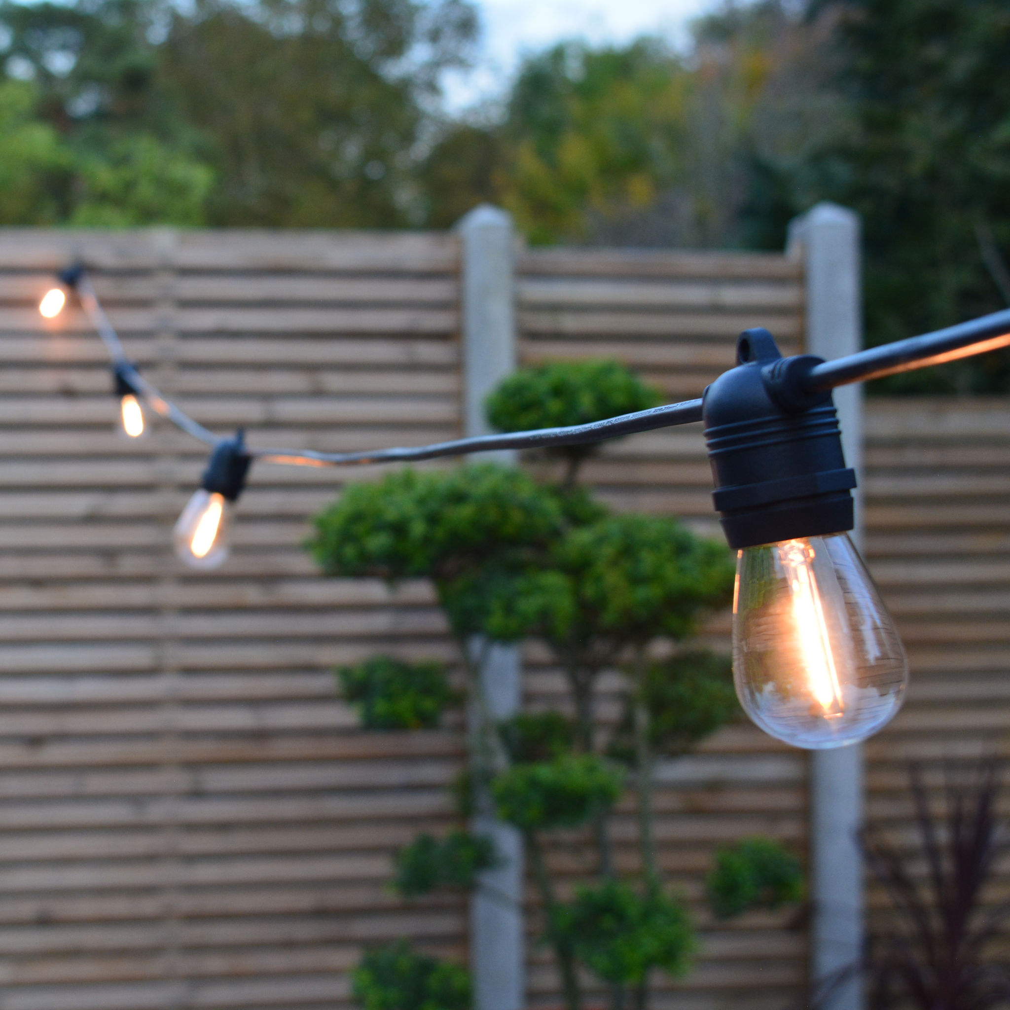50m Connectable Outdoor String Lights - Fixed Sockets with 50 led bulbs - The Outside Lighting Specialists