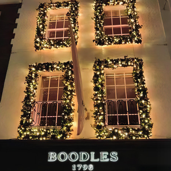 Stunning Outdoor Christmas Garlands - - The Outside Lighting Specialists