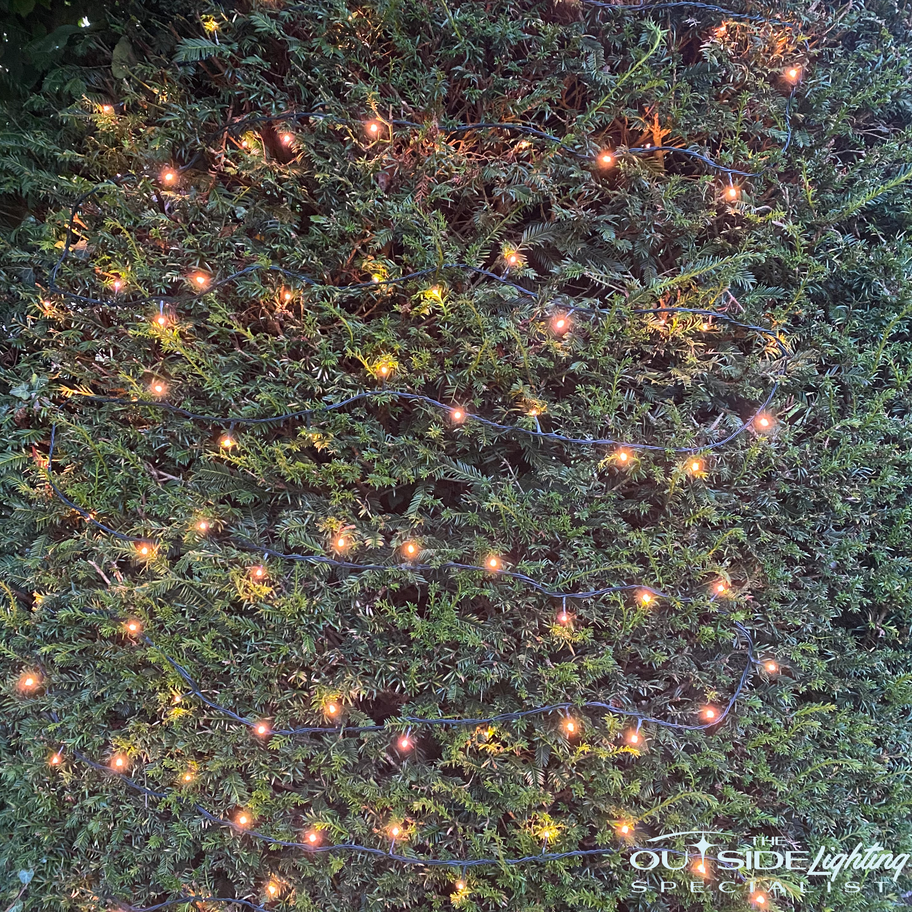 Connectable 10m Multi coloured LED Christmas string lights - The Outside Lighting Specialists