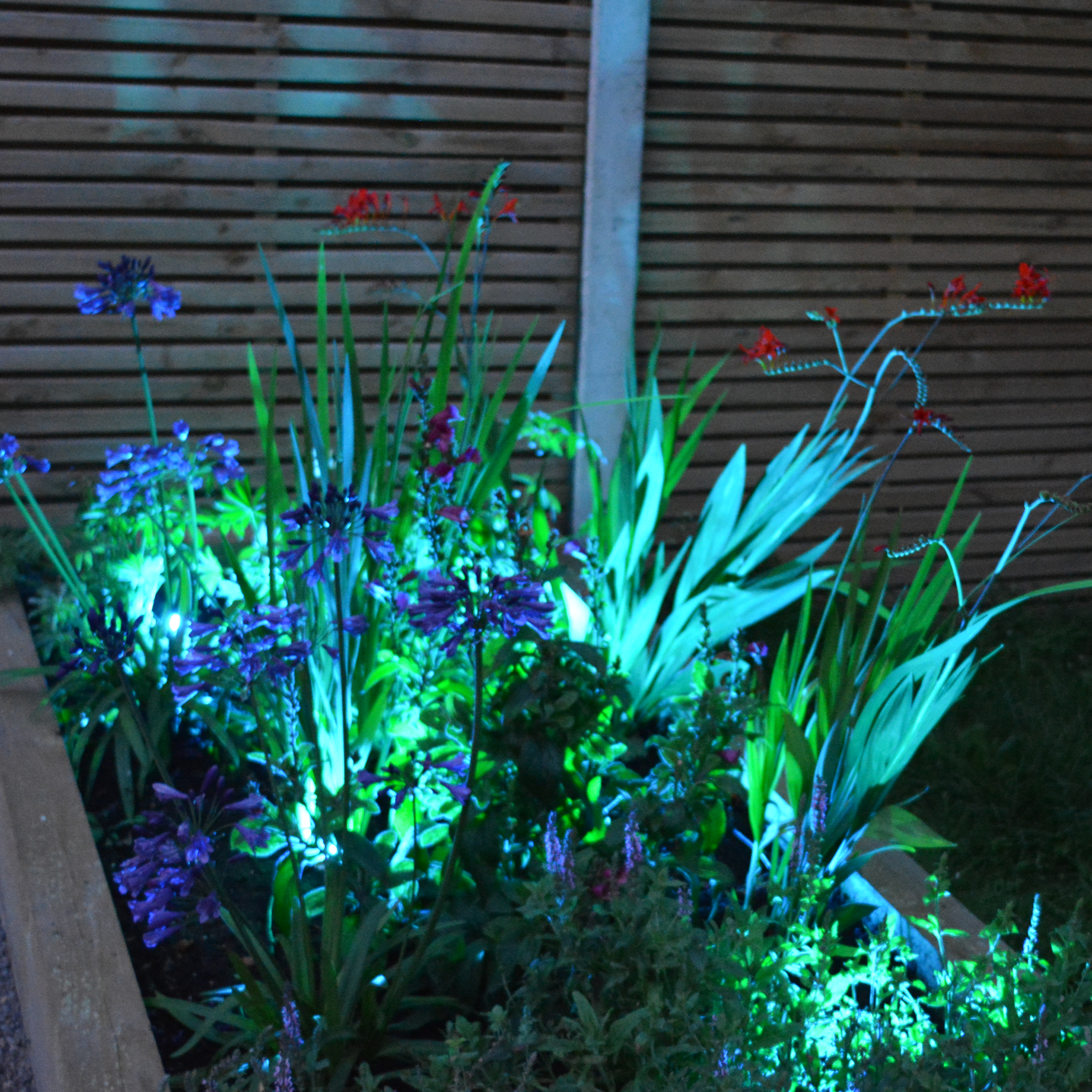5 Rgb LED lights and Extension Harness - The Outside Lighting Specialists