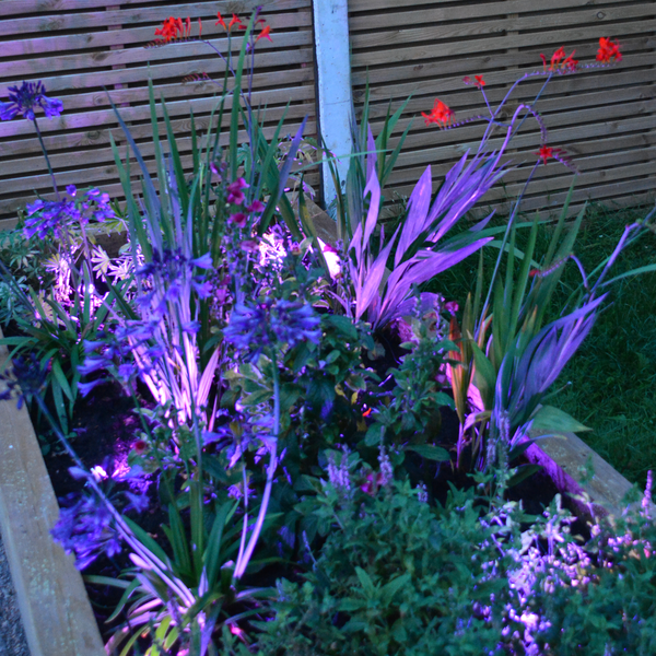 Rgb Extension Harness - The Outside Lighting Specialists