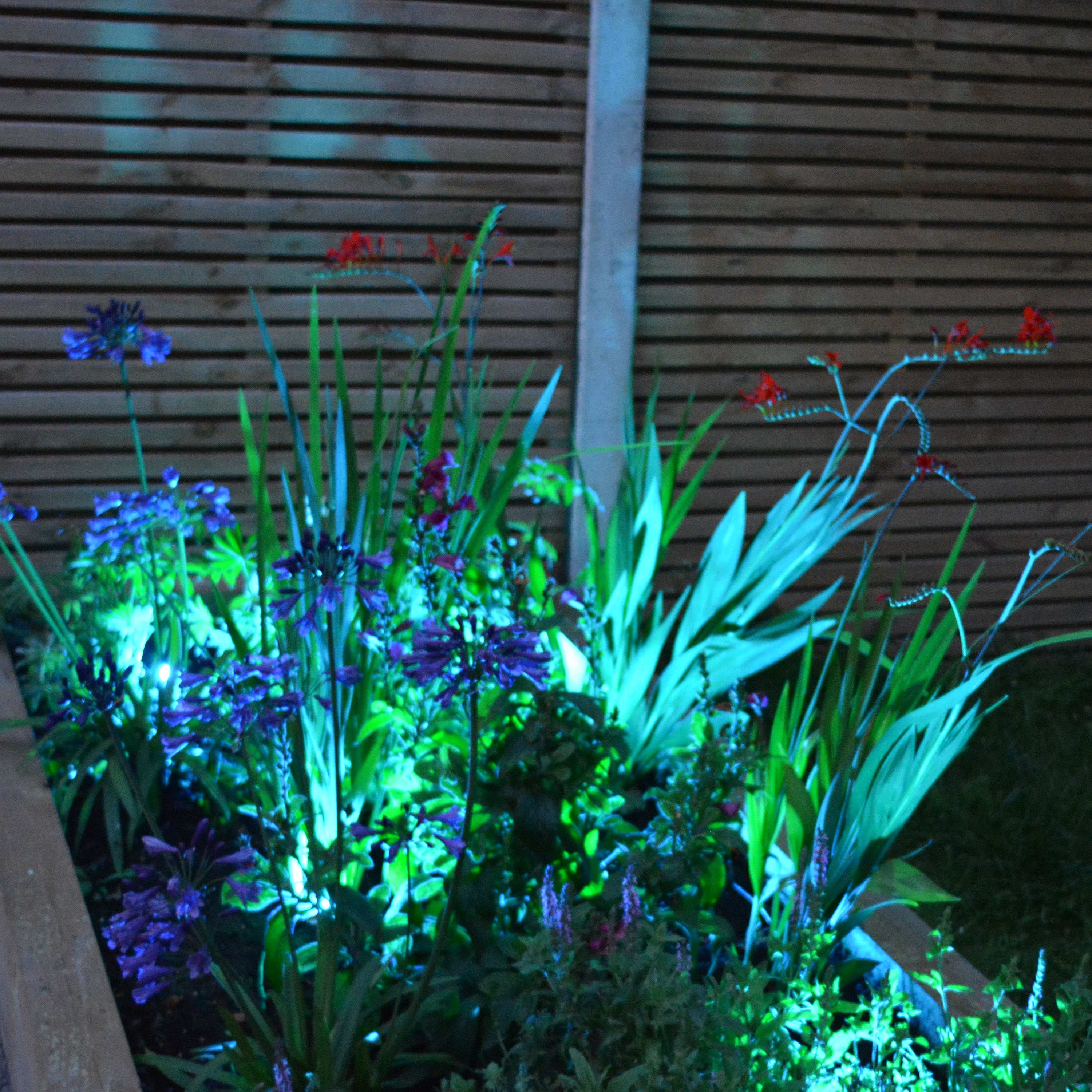 Complete kit with 6 Colour changing LED kit, wire harness and remote control - The Outside Lighting Specialists